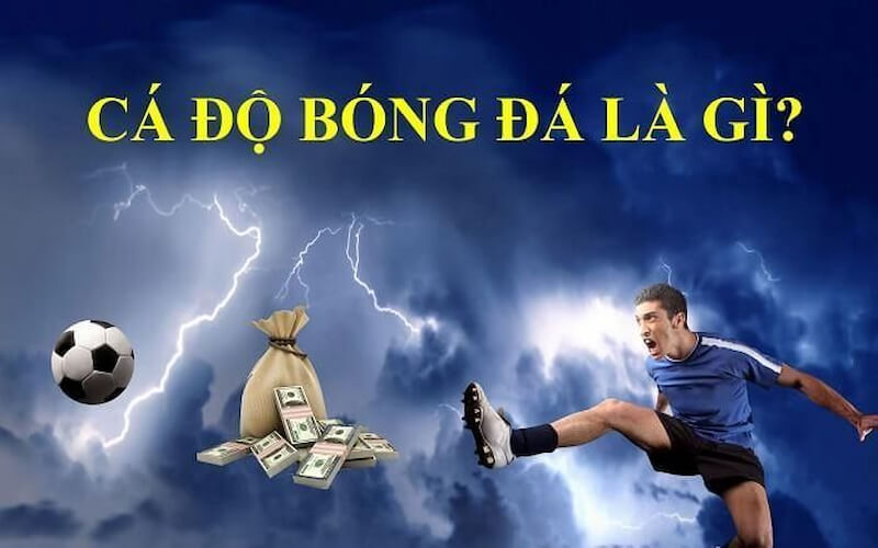 Cá cược bóng đá