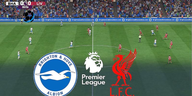 Brighton vs Liverpool