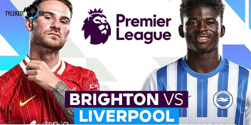 Brighton vs Liverpool