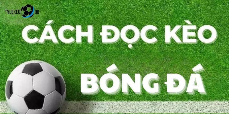 đọc kèo bóng đá