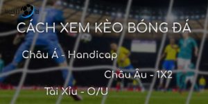 đọc kèo bóng đá