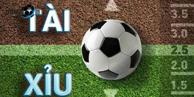 tỷ lệ kèo nhà cái 5