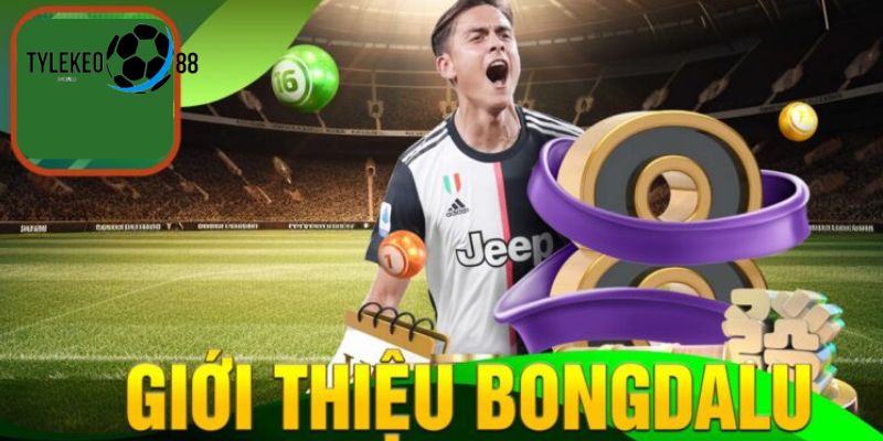 bongdalu