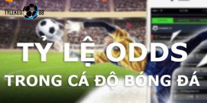 tỷ lệ odds