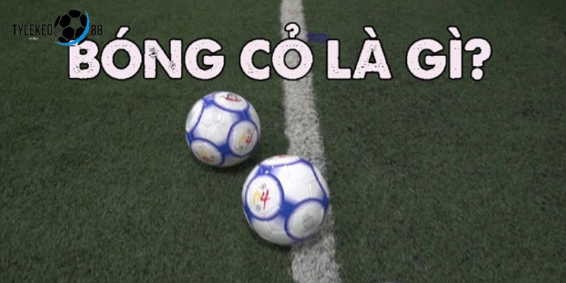 bóng cỏ
