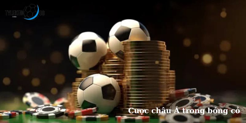 bóng cỏ