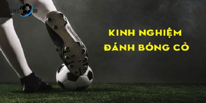 bóng cỏ