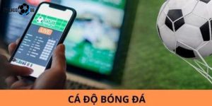 cá độ bóng đá