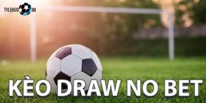 kèo draw no bet