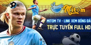 mitom tv