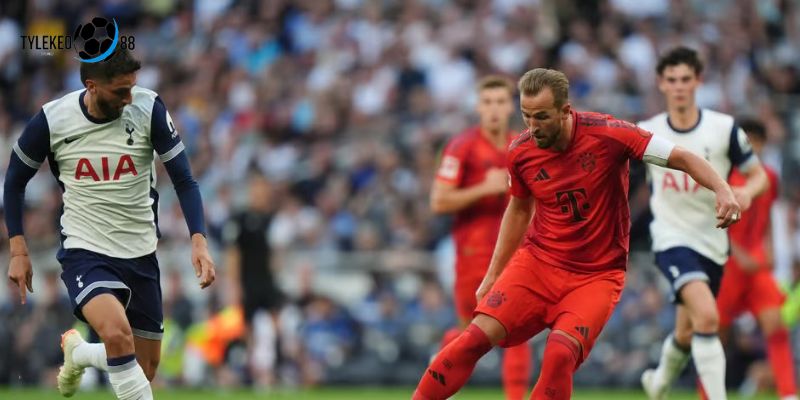 Bayern Munich vs Tottenham