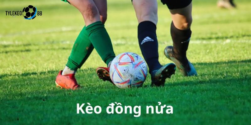 kèo đồng nửa