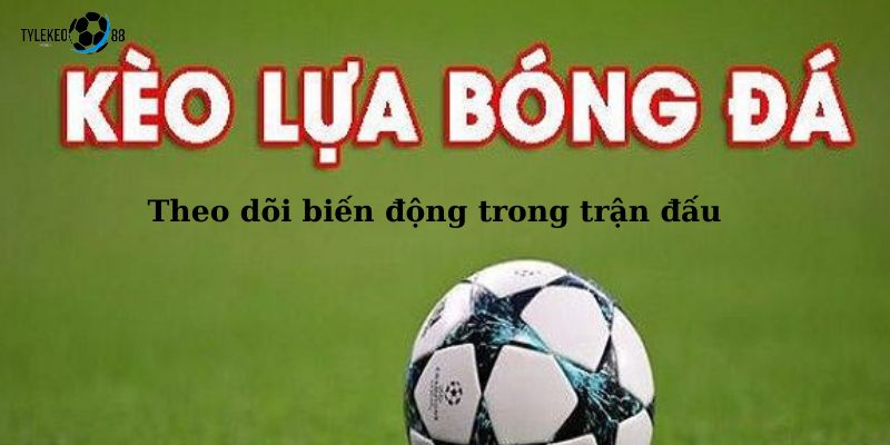 kèo lựa