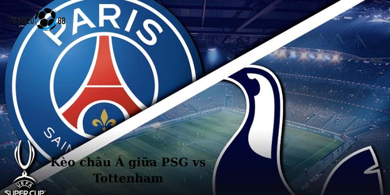 PSG vs Tottenham