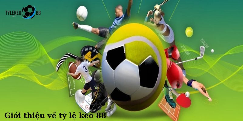 tỷ lệ kèo 88
