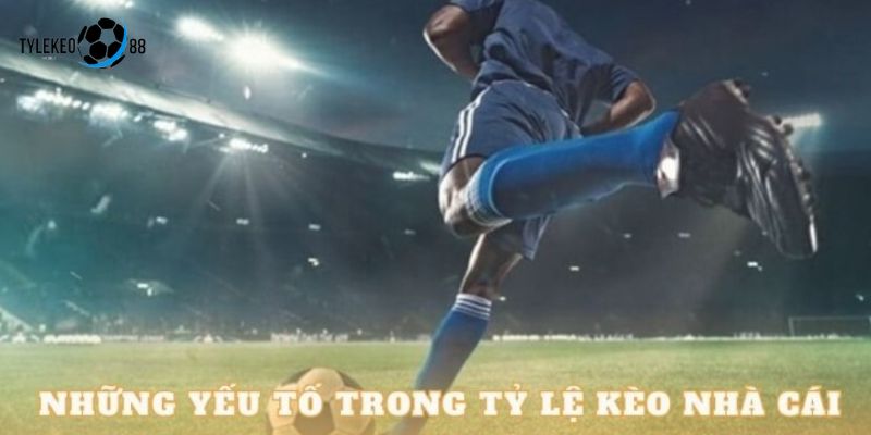 tỷ lệ kèo 88