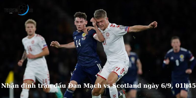 Đan Mạch vs Scotland