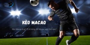 tỷ lệ cá cược macao