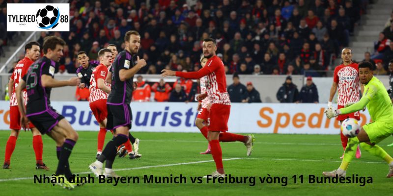 Bayern Munich vs Freiburg