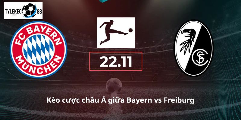 Bayern Munich vs Freiburg