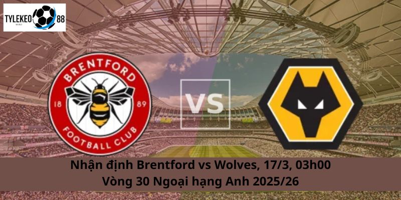 Brentford vs Wolves