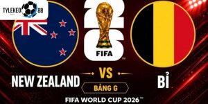 New Zealand vs Bỉ