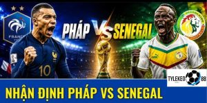 Pháp vs Senegal