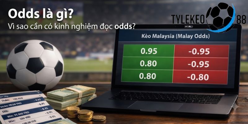 kinh nghiệm đọc odds