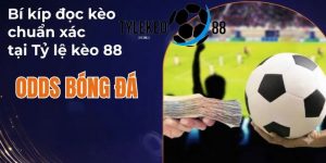 kinh nghiệm đọc odds
